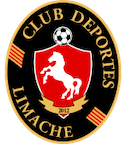 Poster Deportes Limache