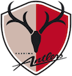 Poster Kashima Antlers