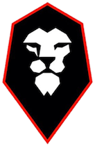 Poster Salford City