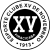 Poster XV de Piracicaba